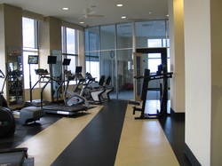 Manufacturers Exporters and Wholesale Suppliers of Gymnasium Flooring New delhi Delhi